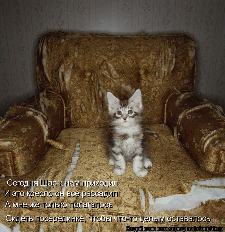 Сегодня Шар к нам приходил И это кресло он все рассадил А мне же только полагалось Сидеть посерединке... Котоматрица: Сегодня Шар к нам приходил И это кресло он все рассадил А мне же только полагалось Сидеть посерединке, чтобы что-то целым оставалось