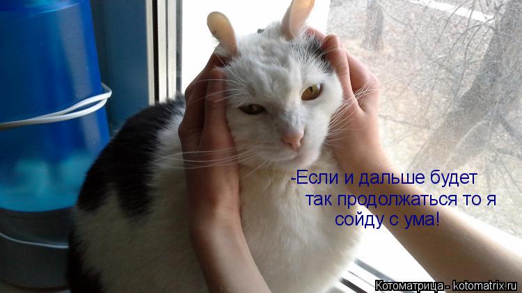 -Если и дальше будет так продолжаться то я сойду с ума!... Котоматрица: -Если и дальше будет так продолжаться то я сойду с ума!