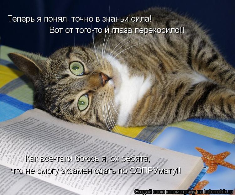Теперь я понял, точно в знаньи сила! Вот от того-то и глаза перекосило!! Как все-таки боюсь я, ох реб... Котоматрица: Теперь я понял, точно в знаньи сила! Вот от того-то и глаза перекосило!! Как все-таки боюсь я, ох ребята, что не смогу экзамен сдать по СОПРУмат