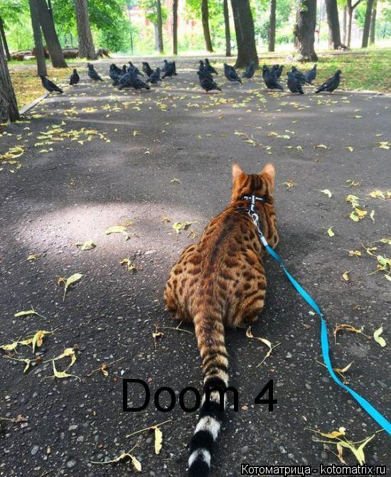 Doom 4... Котоматрица: Doom 4