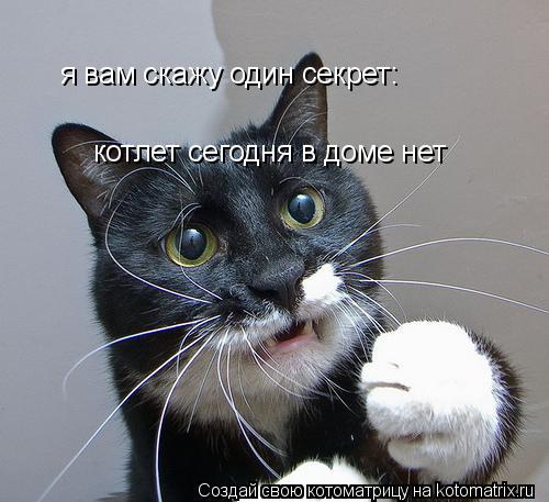 я вам скажу один секрет: котлет сегодня в доме нет... Котоматрица: я вам скажу один секрет: котлет сегодня в доме нет