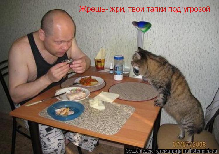 Жрешь- жри, твои тапки под угрозой... Котоматрица: Жрешь- жри, твои тапки под угрозой