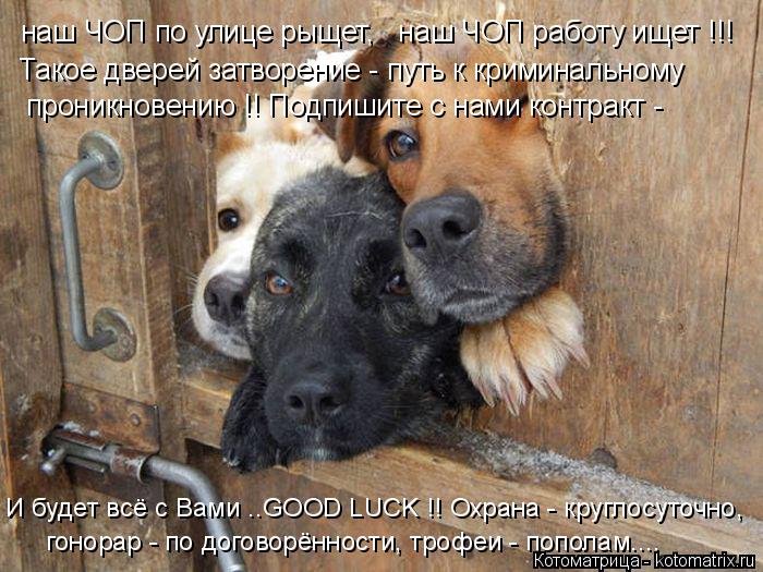 наш ЧОП по улице рыщет, наш ЧОП работу ищет !!! Такое дверей затворение - путь к криминальному прон... Котоматрица: наш ЧОП по улице рыщет, наш ЧОП работу ищет !!! Такое дверей затворение - путь к криминальному проникновению !! Подпишите с нами контракт - И