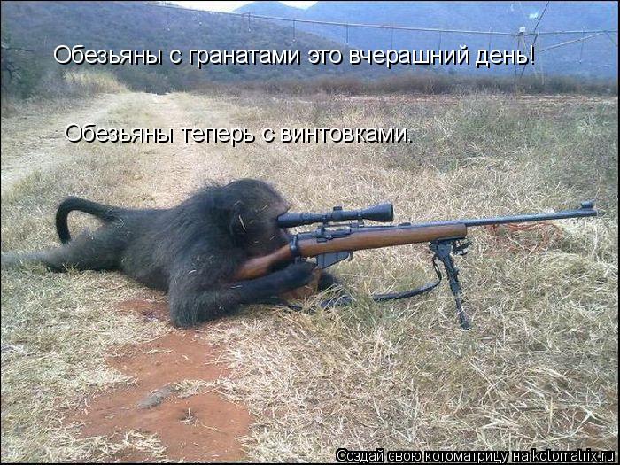 Обезьяны с гранатами это вчерашний день! Обезьяны теперь с винтовками.... Котоматрица: Обезьяны с гранатами это вчерашний день! Обезьяны теперь с винтовками.