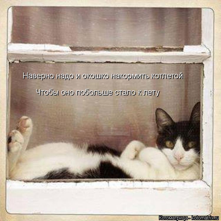 Чтобы оно побольше стало к лету Наверно надо и окошко накормить котлетой... Котоматрица: Чтобы оно побольше стало к лету Наверно надо и окошко накормить котлетой