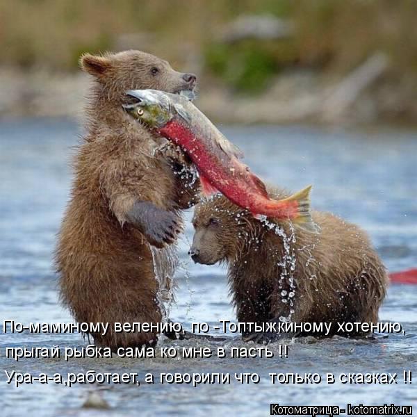 По-маминому велению, по -Топтыжкиному хотению, прыгай рыбка сама ко мне в пасть !! Ура-а-а,работает, ... Котоматрица: По-маминому велению, по -Топтыжкиному хотению, прыгай рыбка сама ко мне в пасть !! Ура-а-а,работает, а говорили что только в сказках !!