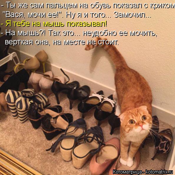 - Ты же сам пальцем на обувь показал с криком "Вася, мочи ее!". Ну я и того... Замочил... - Я тебе на... Котоматрица: - Ты же сам пальцем на обувь показал с криком "Вася, мочи ее!". Ну я и того... Замочил... - Я тебе на мышь показывал! - На мышь?! Так это... неудобно ее