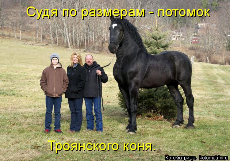 Судя по размерам - потомок Троянского коня.... Котоматрица: Судя по размерам - потомок Троянского коня.