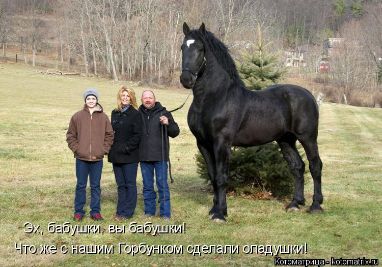 Эх, бабушки, вы бабушки! Что же с нашим Горбунком сделали оладушки!... Котоматрица: Эх, бабушки, вы бабушки! Что же с нашим Горбунком сделали оладушки!