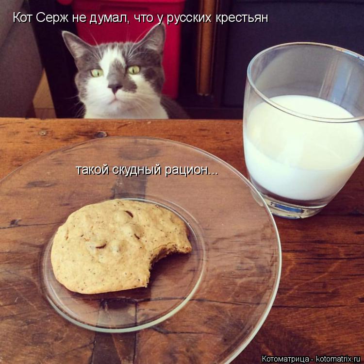 Кот Серж не думал, что у русских крестьян такой скудный рацион... Кот Серж не думал, что у русских кр... Котоматрица: Кот Серж не думал, что у русских крестьян такой скудный рацион... Кот Серж не думал, что у русских крестьян такой скудный рацион...