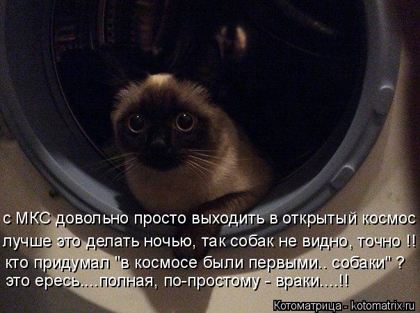 с МКС довольно просто выходить в открытый космос лучше это делать ночью, так собак не видно, точно !!... Котоматрица: с МКС довольно просто выходить в открытый космос лучше это делать ночью, так собак не видно, точно !! кто придумал "в космосе были первыми.. со