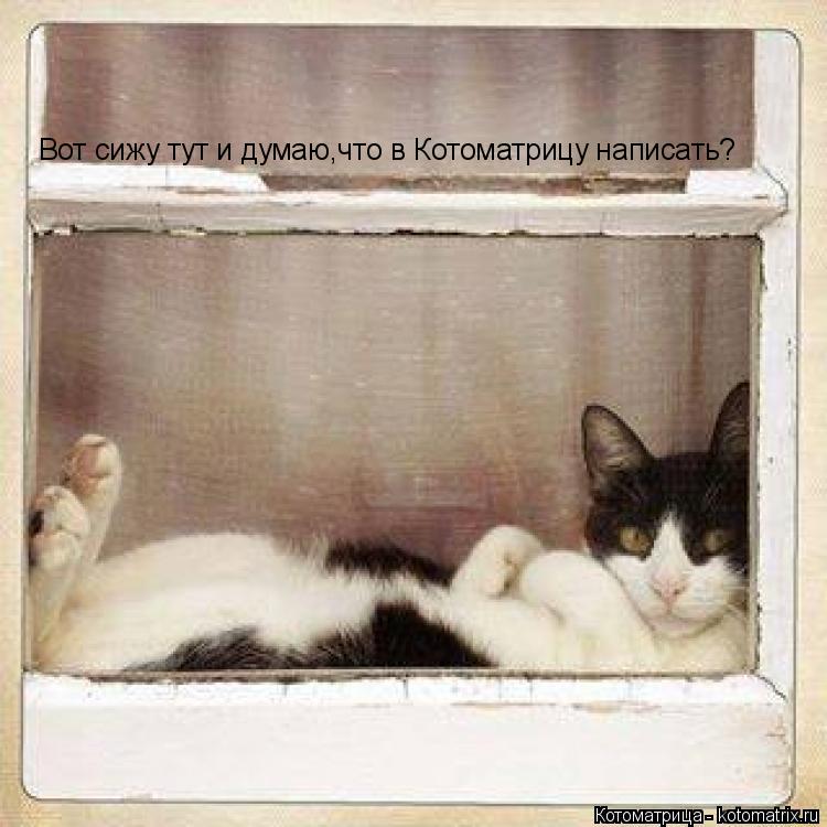 Вот сижу тут и думаю,что в Котоматрицу написать?... Котоматрица: Вот сижу тут и думаю,что в Котоматрицу написать?