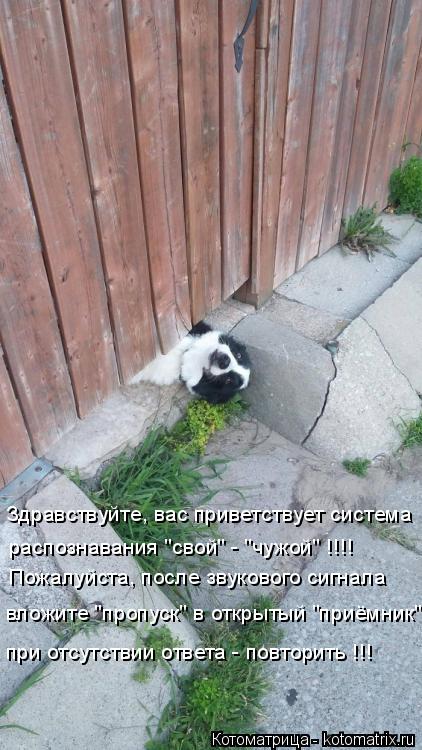 Здравствуйте, вас приветствует система распознавания "свой" - "чужой" !!!! Пожалуйста, после звуковог... Котоматрица: Здравствуйте, вас приветствует система распознавания "свой" - "чужой" !!!! Пожалуйста, после звукового сигнала вложите "пропуск" в открытый "пр