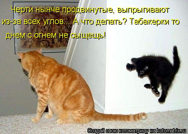 Черти нынче продвинутые, выпрыгивают из-за всех углов... А что делать? Табакерки то днем с огнем не с... Котоматрица: Черти нынче продвинутые, выпрыгивают из-за всех углов... А что делать? Табакерки то днем с огнем не сыщещь!