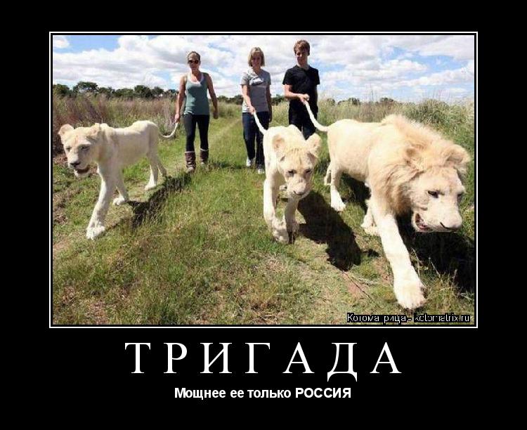 ТРИГАДА Мощнее ее только РОССИЯ... Котоматрица: ТРИГАДА Мощнее ее только РОССИЯ