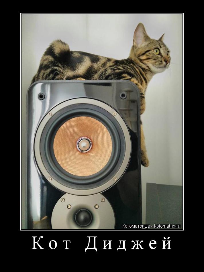 Кот Диджей ... Котоматрица: Кот Диджей