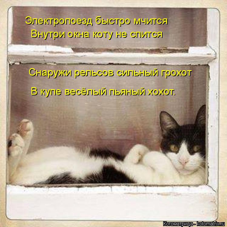 Электропоезд быстро мчится Внутри окна коту не спится Снаружи рельсов сильный грохот В купе весёлый п... Котоматрица: Электропоезд быстро мчится Внутри окна коту не спится Снаружи рельсов сильный грохот В купе весёлый пьяный хохот.