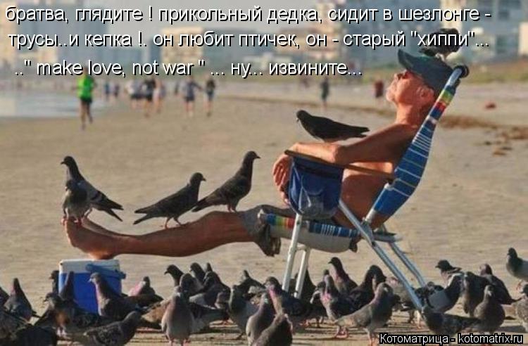 братва, глядите ! прикольный дедка, сидит в шезлонге - трусы..и кепка !. он любит птичек, он - стары... Котоматрица: братва, глядите ! прикольный дедка, сидит в шезлонге - трусы..и кепка !. он любит птичек, он - старый "хиппи"... .." make love, not war " ... ну... извините...