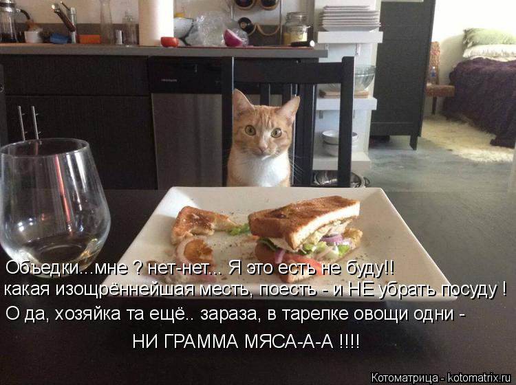 какая изощрённейшая месть, поесть - и НЕ убрать посуду ! О да, хозяйка та ещё.. зараза, в тарелке ово... Котоматрица: какая изощрённейшая месть, поесть - и НЕ убрать посуду ! О да, хозяйка та ещё.. зараза, в тарелке овощи одни - НИ ГРАММА МЯСА-А-А !!!! Объедки...мне