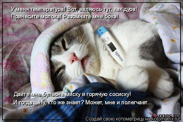 У меня температура! Вот, валяюсь тут, как дура! Принесите молока! Разомните мне бока! И тогда... Ну, ... Котоматрица: У меня температура! Вот, валяюсь тут, как дура! Принесите молока! Разомните мне бока! И тогда... Ну, кто же знает? Может, мне и полегчает... Дайте
