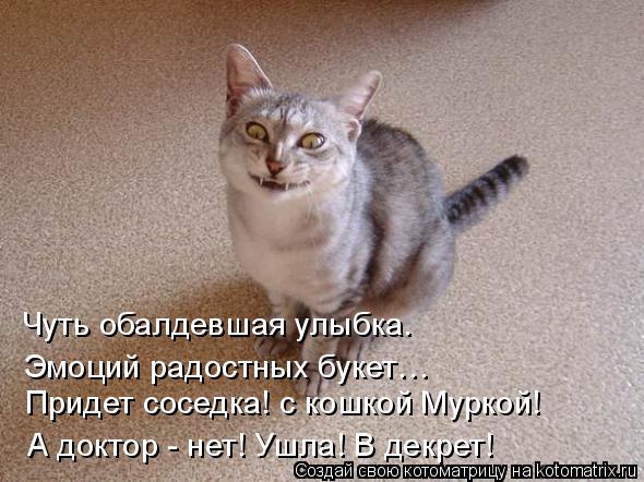 Чуть обалдевшая улыбка. Эмоций радостных букет… Придет соседка! с кошкой Муркой! А доктор - нет! Ушл... Котоматрица: Чуть обалдевшая улыбка. Эмоций радостных букет… Придет соседка! с кошкой Муркой! А доктор - нет! Ушла! В декрет!