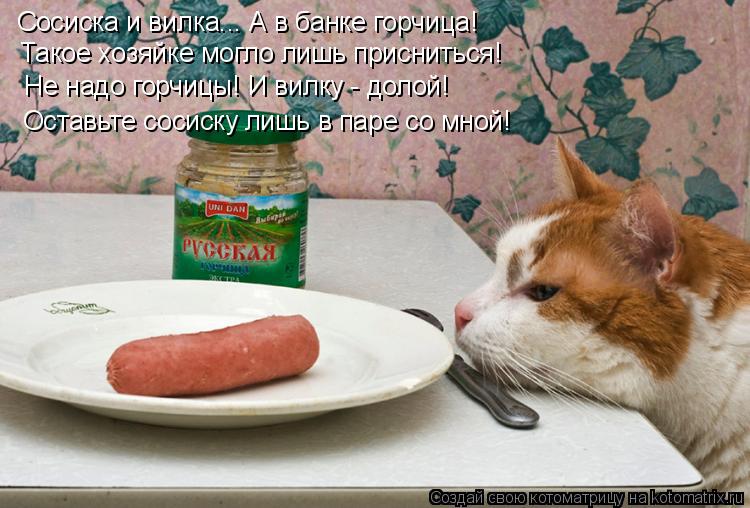 Сосиска и вилка... А в банке горчица! Не надо горчицы! И вилку - долой! Оставьте сосиску лишь в паре ... Котоматрица: Сосиска и вилка... А в банке горчица! Не надо горчицы! И вилку - долой! Оставьте сосиску лишь в паре со мной! Такое хозяйке могло лишь приснитьс
