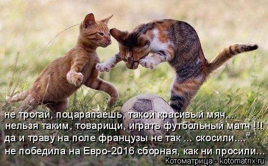 не трогай, поцарапаешь, такой красивый мяч... нельзя таким, товарищи, играть футбольный матч !!! да и... Котоматрица: не трогай, поцарапаешь, такой красивый мяч... нельзя таким, товарищи, играть футбольный матч !!! да и траву на поле французы не так ... скосили....