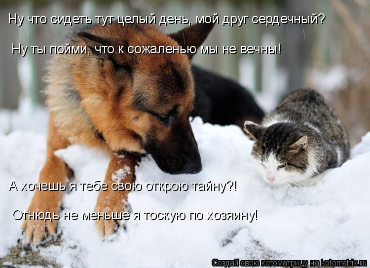 Ну что сидеть тут целый день, мой друг сердечный? Ну ты пойми, что к сожаленью мы не вечны! А хочешь ... Котоматрица: Ну что сидеть тут целый день, мой друг сердечный? Ну ты пойми, что к сожаленью мы не вечны! А хочешь я тебе свою открою тайну?! Отнюдь не меньше