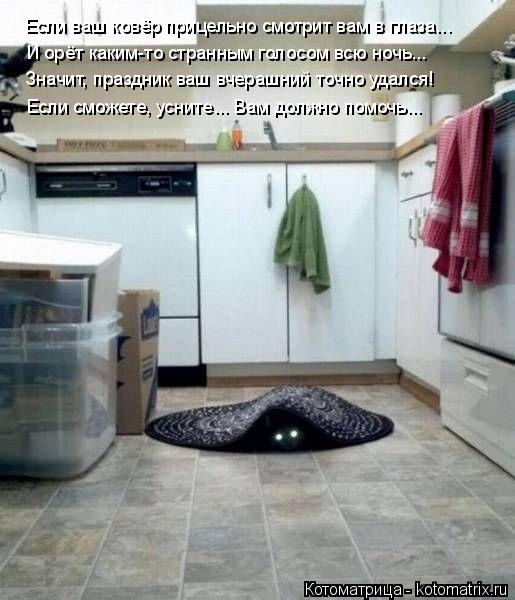И орёт каким-то странным голосом всю ночь... Если ваш ковёр прицельно смотрит вам в глаза... Значит, ... Котоматрица: И орёт каким-то странным голосом всю ночь... Если ваш ковёр прицельно смотрит вам в глаза... Значит, праздник ваш вчерашний точно удался! Если