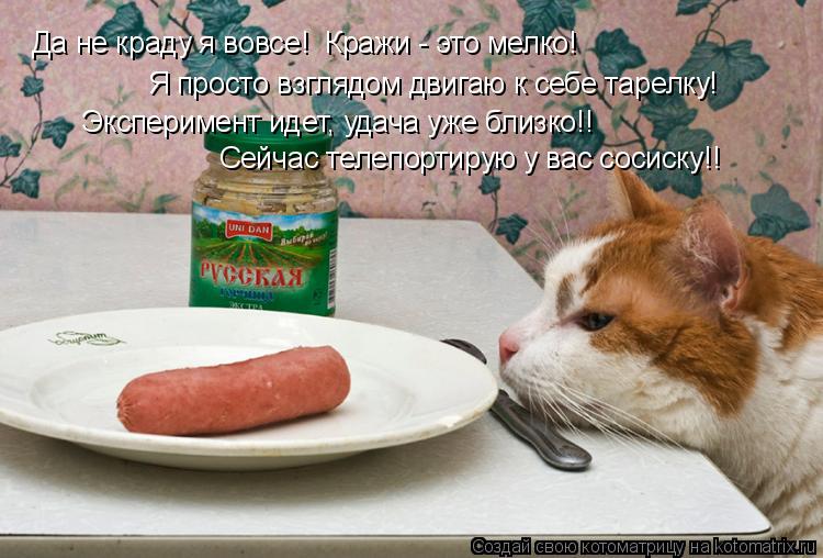 Да не краду я вовсе! Кражи - это мелко! Я просто взглядом двигаю к себе тарелку! Эксперимент идет, у... Котоматрица: Да не краду я вовсе! Кражи - это мелко! Я просто взглядом двигаю к себе тарелку! Эксперимент идет, удача уже близко!! Сейчас телепортирую у ва