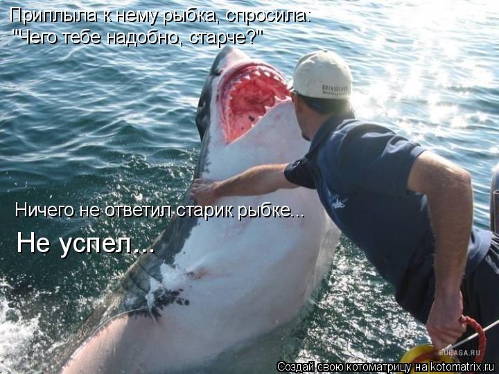 Приплыла к нему рыбка, спросила: "Чего тебе надобно, старче?" Ничего не ответил старик рыбке... Не ус... Котоматрица: Приплыла к нему рыбка, спросила: "Чего тебе надобно, старче?" Ничего не ответил старик рыбке... Не успел...