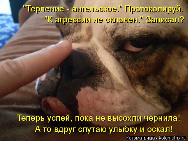 "К агрессии не склонен." Записал? "Терпение - ангельское." Протоколируй. Теперь успей, пока не высохл... Котоматрица: "К агрессии не склонен." Записал? "Терпение - ангельское." Протоколируй. Теперь успей, пока не высохли чернила! А то вдруг спутаю улыбку и оска
