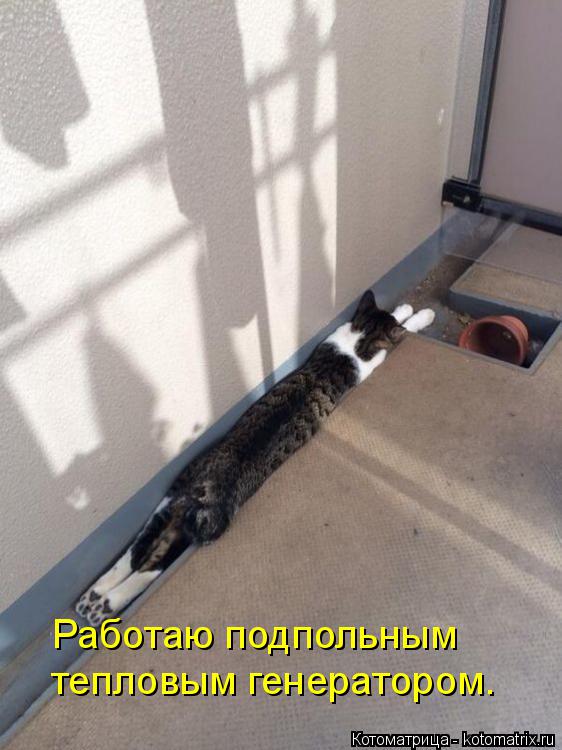 Работаю подпольным тепловым генератором.... Котоматрица: Работаю подпольным тепловым генератором.