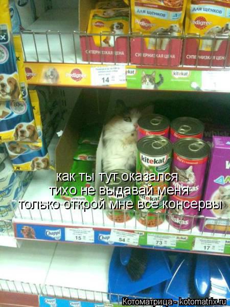 как ты тут оказался тихо не выдавай меня только открой мне все консервы... Котоматрица: как ты тут оказался тихо не выдавай меня только открой мне все консервы