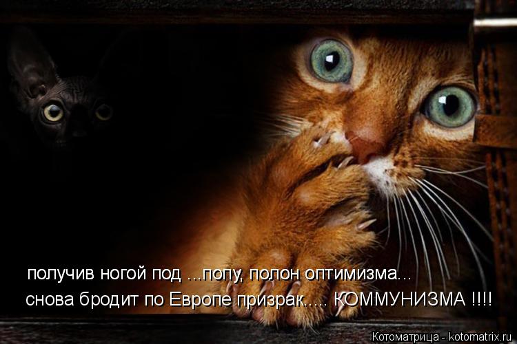 снова бродит по Европе призрак..... КОММУНИЗМА !!!! получив ногой под ...попу, полон оптимизма... пол... Котоматрица: снова бродит по Европе призрак..... КОММУНИЗМА !!!! получив ногой под ...попу, полон оптимизма... получив ногой под ...попу, полон оптимизма...