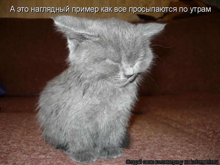 А это наглядный пример как все просыпаются по утрам... Котоматрица: А это наглядный пример как все просыпаются по утрам