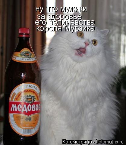 ну что мужики за здоровье его величевства короля Мурзика... Котоматрица: ну что мужики за здоровье его величевства короля Мурзика