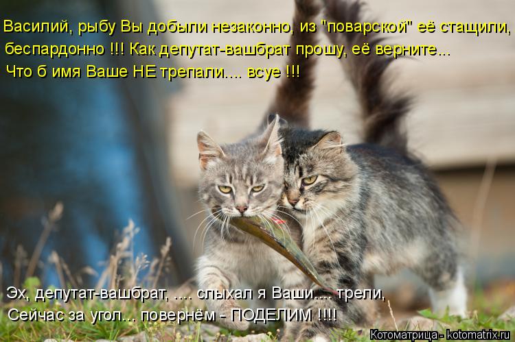 Сейчас за угол... повернём - ПОДЕЛИМ !!!! Василий, рыбу Вы добыли незаконно, из "поварской" её стащил... Котоматрица: Сейчас за угол... повернём - ПОДЕЛИМ !!!! Василий, рыбу Вы добыли незаконно, из "поварской" её стащили, беспардонно !!! Как депутат-вашбрат прошу,