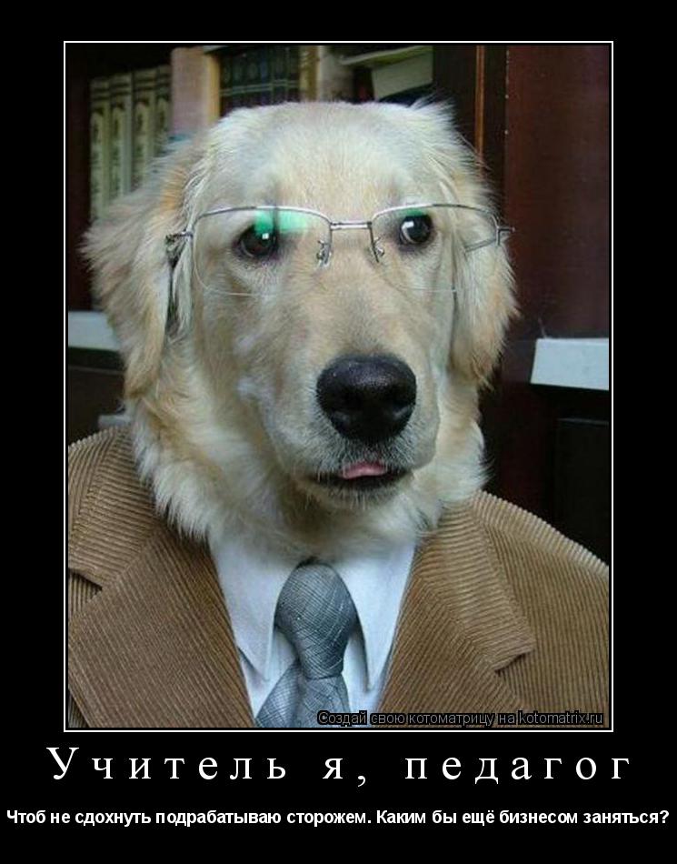 Учитель я, педагог Чтоб не сдохнуть подрабатываю сторожем. Каким бы ещё бизнесом заняться?... Котоматрица: Учитель я, педагог Чтоб не сдохнуть подрабатываю сторожем. Каким бы ещё бизнесом заняться?