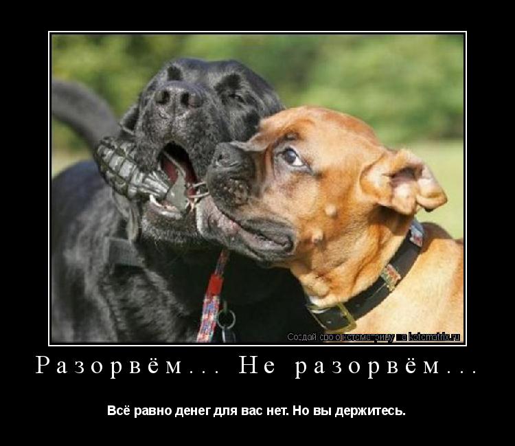 Разорвём... Не разорвём... Всё равно денег для вас нет. Но вы держитесь.... Котоматрица: Разорвём... Не разорвём... Всё равно денег для вас нет. Но вы держитесь.