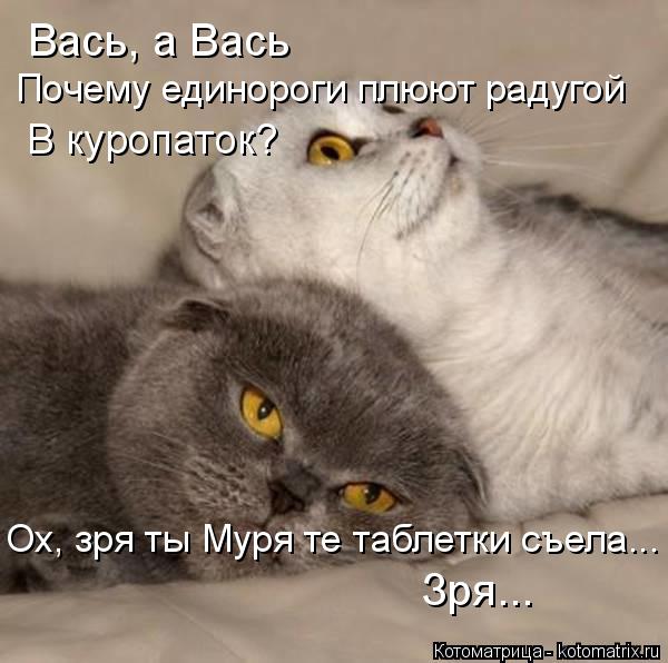 Вась, а Вась Почему единороги плюют радугой В куропаток? Зря... Ох, зря ты Муря те таблетки съела...... Котоматрица: Вась, а Вась Почему единороги плюют радугой В куропаток? Зря... Ох, зря ты Муря те таблетки съела...