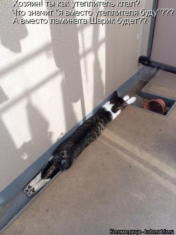 Хозяин! ты как утеплитель клал? Что значит "я вместо утеплителя буду"??? А вместо ламината Шарик буде... Котоматрица: Хозяин! ты как утеплитель клал? Что значит "я вместо утеплителя буду"??? А вместо ламината Шарик будет??