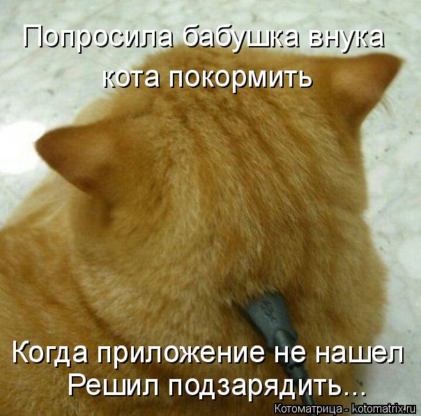 Попросила бабушка внука кота покормить Решил подзарядить... Когда приложение не нашел Когда приложени... Котоматрица: Попросила бабушка внука кота покормить Решил подзарядить... Когда приложение не нашел Когда приложение не нашел