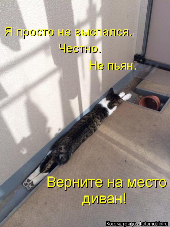 Я просто не выспался. Честно. Не пьян. Верните на место диван!... Котоматрица: Я просто не выспался. Честно. Не пьян. Верните на место диван!