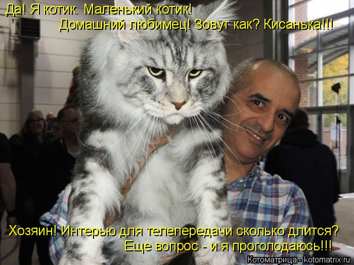 Да! Я котик. Маленький котик! Домашний любимец! Зовут как? Кисанька!!! Хозяин! Интерью для телепереда... Котоматрица: Да! Я котик. Маленький котик! Домашний любимец! Зовут как? Кисанька!!! Хозяин! Интерью для телепередачи сколько длится? Еще вопрос - и я прогол