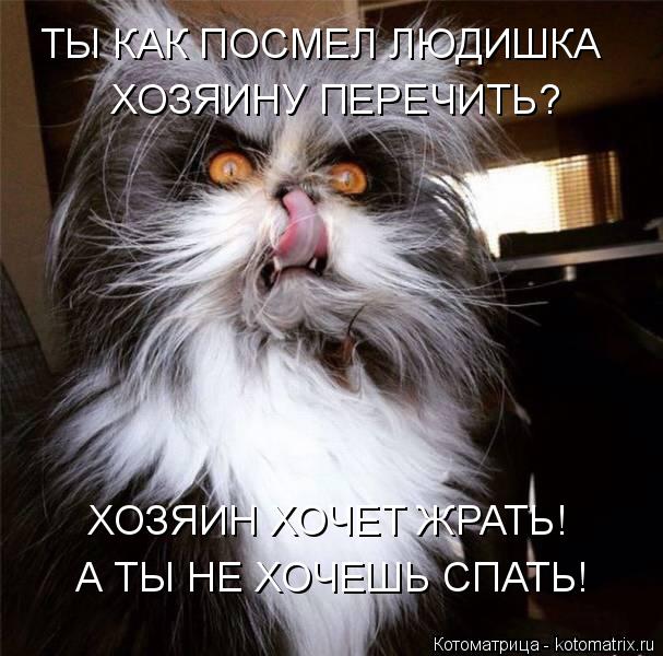 ХОЗЯИНУ ПЕРЕЧИТЬ? ХОЗЯИН ХОЧЕТ ЖРАТЬ! ТЫ КАК ПОСМЕЛ ЛЮДИШКА А ТЫ НЕ ХОЧЕШЬ СПАТЬ!... Котоматрица: ХОЗЯИНУ ПЕРЕЧИТЬ? ХОЗЯИН ХОЧЕТ ЖРАТЬ! ТЫ КАК ПОСМЕЛ ЛЮДИШКА А ТЫ НЕ ХОЧЕШЬ СПАТЬ!