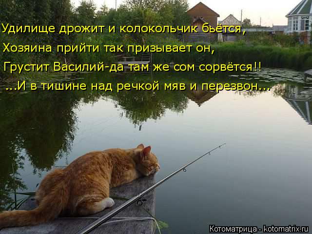 Удилище дрожит и колокольчик бьётся, Хозяина прийти так призывает он, Грустит Василий-да там же сом с... Котоматрица: Удилище дрожит и колокольчик бьётся, Хозяина прийти так призывает он, Грустит Василий-да там же сом сорвётся!! ...И в тишине над речкой мяв и п