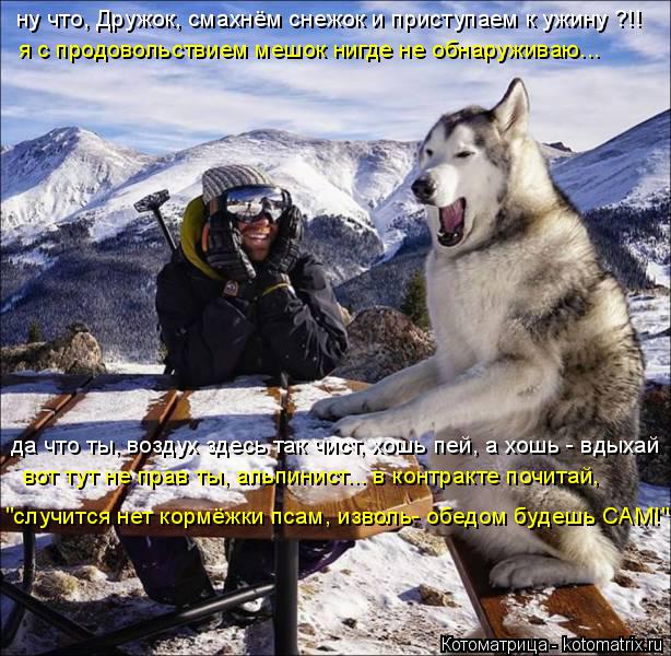 ну что, Дружок, смахнём снежок и приступаем к ужину ?!! я с продовольствием мешок нигде не обнаружива... Котоматрица: ну что, Дружок, смахнём снежок и приступаем к ужину ?!! я с продовольствием мешок нигде не обнаруживаю... вот тут не прав ты, альпинист... в конт