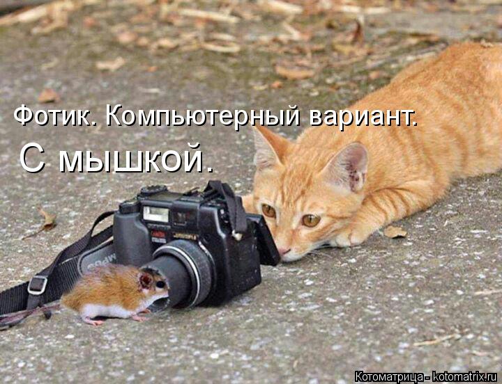С мышкой. Фотик. Компьютерный вариант.... Котоматрица: С мышкой. Фотик. Компьютерный вариант.