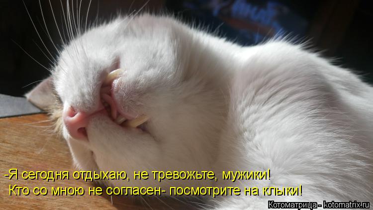 -Я сегодня отдыхаю, не тревожьте, мужики! Кто со мною не согласен- посмотрите на клыки!... Котоматрица: -Я сегодня отдыхаю, не тревожьте, мужики! Кто со мною не согласен- посмотрите на клыки!